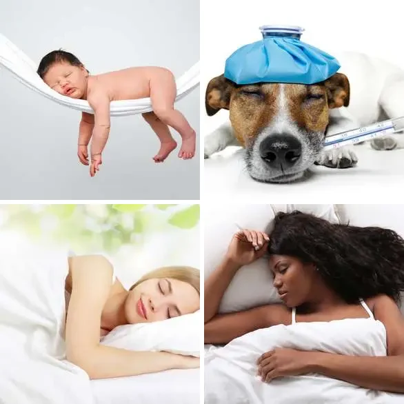 4 images 1 mot 7 lettres : solution ENDORMI