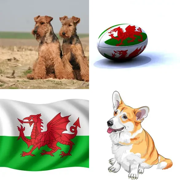 4 images 1 mot 7 lettres : solution GALLOIS