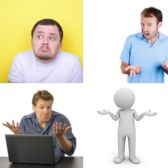 4 images 1 mot 7 lettres : solution HAUSSER