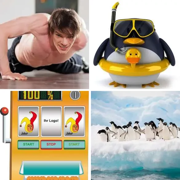 4 images 1 mot 7 lettres : solution MANCHOT