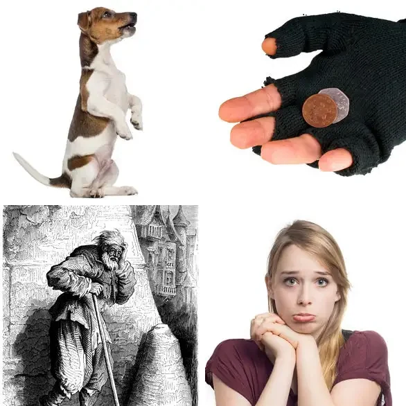 4 images 1 mot 7 lettres : solution MENDIER