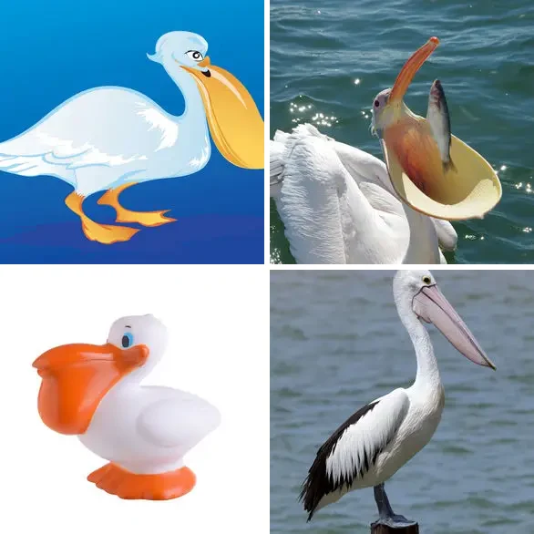 4 images 1 mot 7 lettres : solution PELICAN