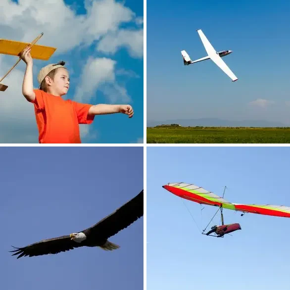 4 images 1 mot 7 lettres : solution PLANEUR