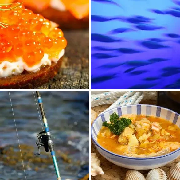 4 images 1 mot 7 lettres : solution POISSON
