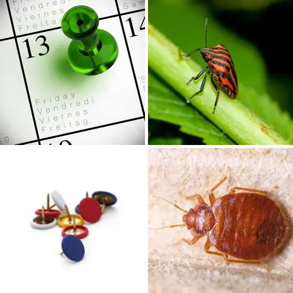 4 images 1 mot 7 lettres : solution PUNAISE