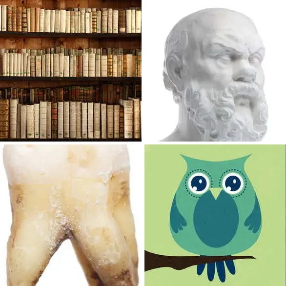 4 images 1 mot 7 lettres : solution SAGESSE