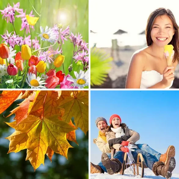 4 images 1 mot 7 lettres : solution SAISONS