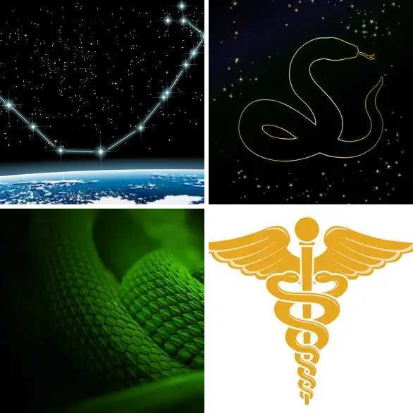 4 images 1 mot 7 lettres : solution SERPENT