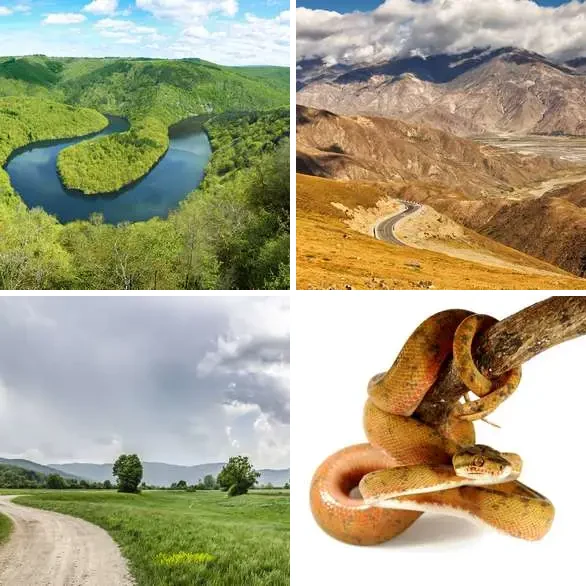 4 images 1 mot 7 lettres : solution SINUEUX