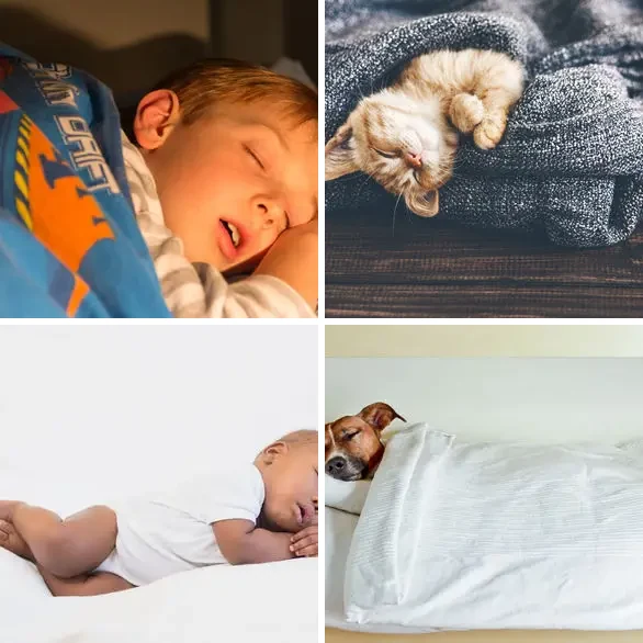 4 images 1 mot 7 lettres : solution SOMMEIL