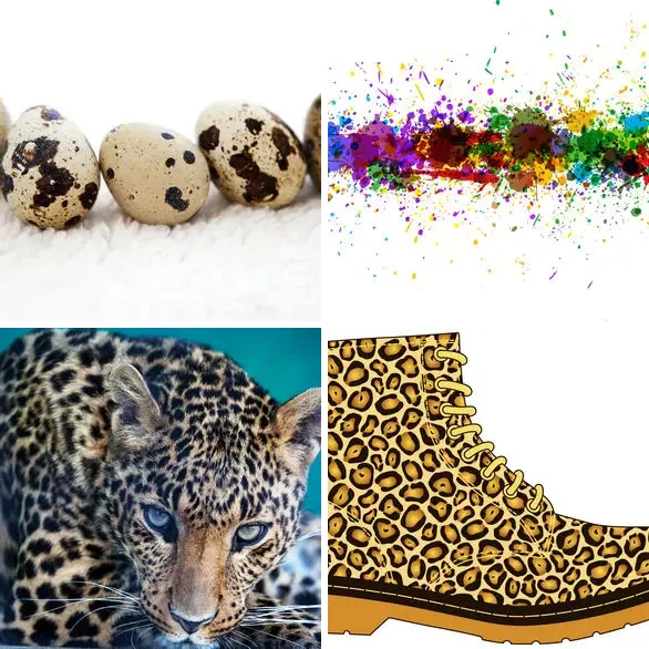 4 images 1 mot 7 lettres : solution TACHETE