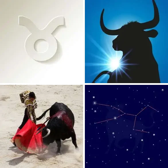 4 images 1 mot 7 lettres : solution TAUREAU
