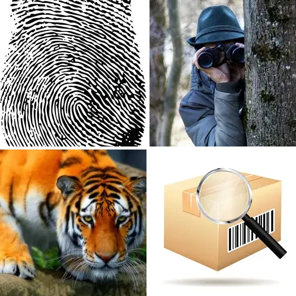 4 images 1 mot 7 lettres : solution TRAQUER