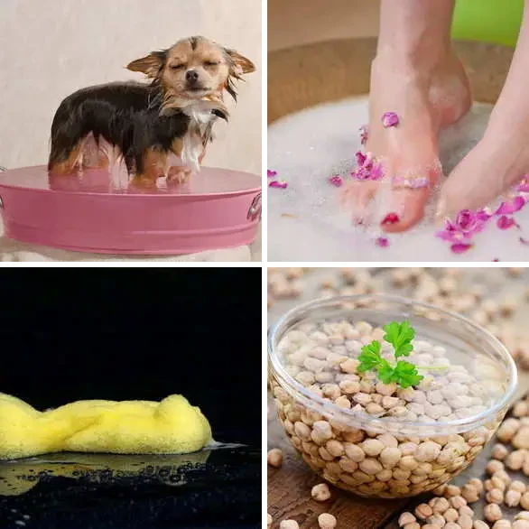 4 images 1 mot 7 lettres : solution TREMPER
