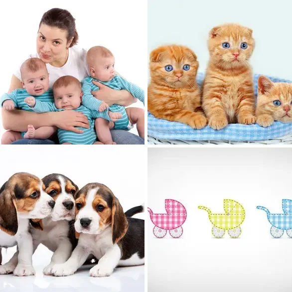 4 images 1 mot 7 lettres : solution TRIPLES