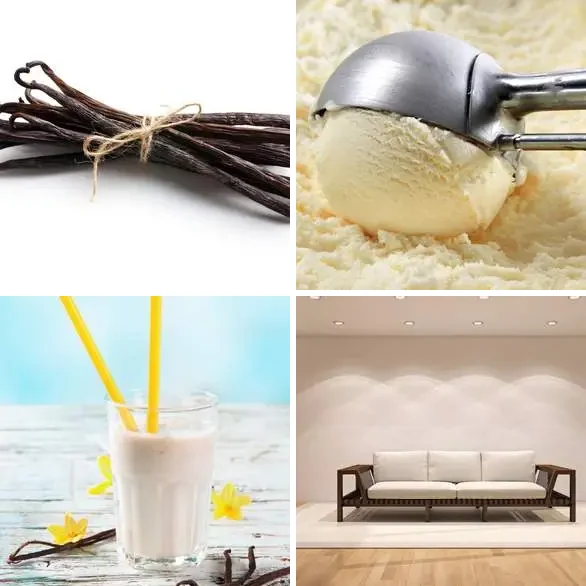 4 images 1 mot 7 lettres : solution VANILLE