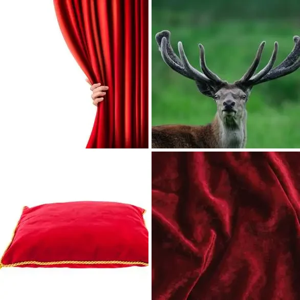 4 images 1 mot 7 lettres : solution VELOURS