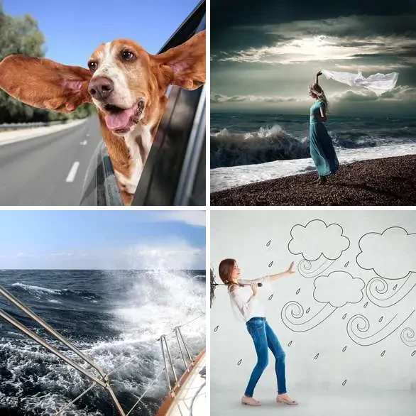 4 images 1 mot 7 lettres : solution VENTEUX