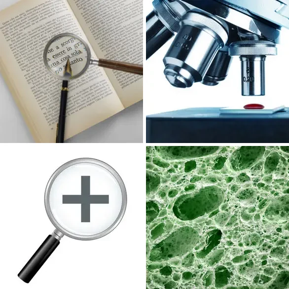 4 images 1 mot 8 lettres : solution AGRANDIR
