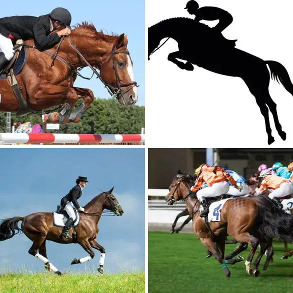 4 images 1 mot 8 lettres : solution CAVALIER