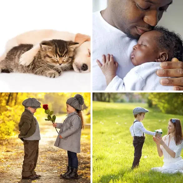 4 images 1 mot 8 lettres : solution CHARMANT