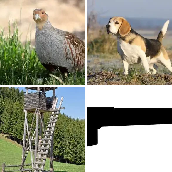 4 images 1 mot 8 lettres : solution CHASSEUR
