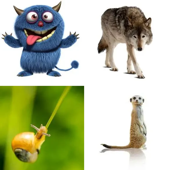 4 images 1 mot 8 lettres : solution CREATURE
