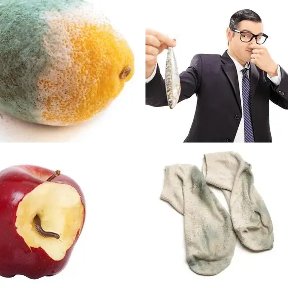 4 images 1 mot 8 lettres : solution DEGOUTER