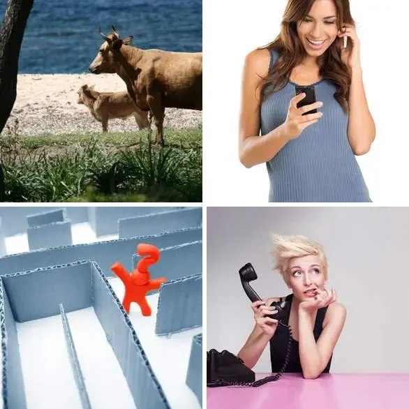 4 images 1 mot 8 lettres : solution DIVAGUER