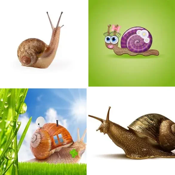 4 images 1 mot 8 lettres : solution ESCARGOT