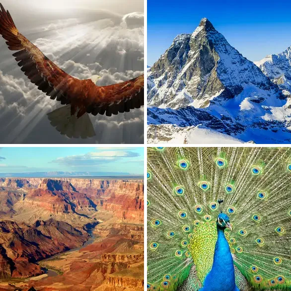 4 images 1 mot 8 lettres : solution IMPOSANT