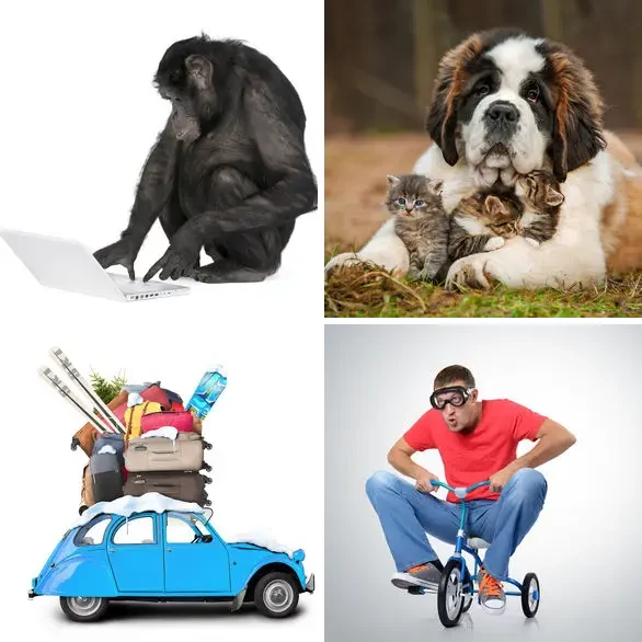 4 images 1 mot 8 lettres : solution INSOLITE