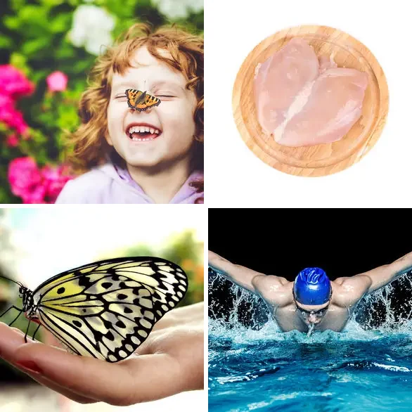 4 images 1 mot 8 lettres : solution PAPILLON