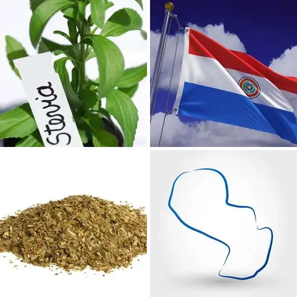4 images 1 mot 8 lettres : solution PARAGUAY