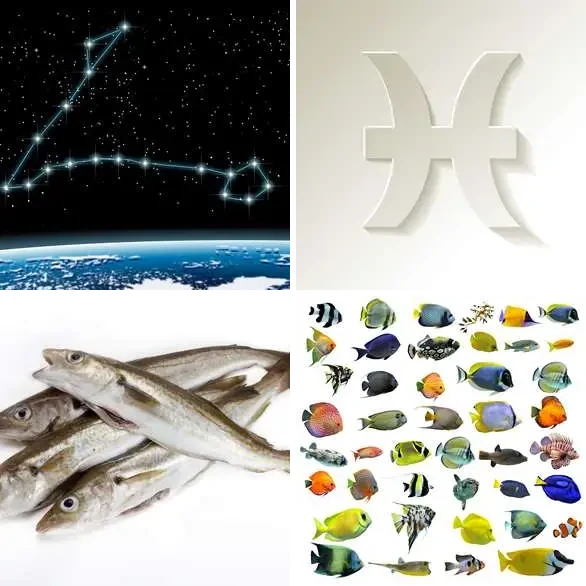 4 images 1 mot 8 lettres : solution POISSONS