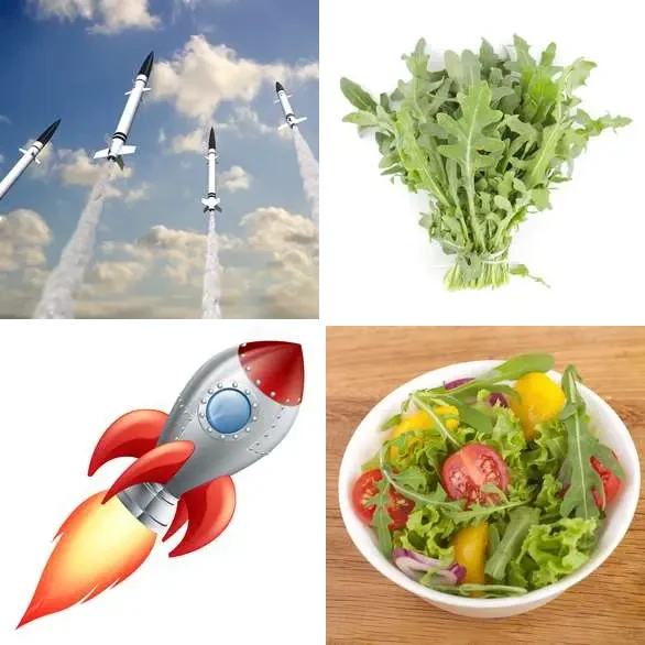 4 images 1 mot 8 lettres : solution ROQUETTE