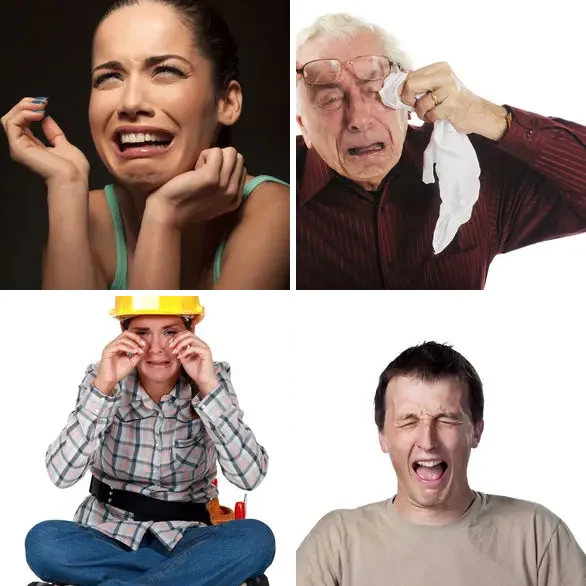 4 images 1 mot 8 lettres : solution SANGLOTS