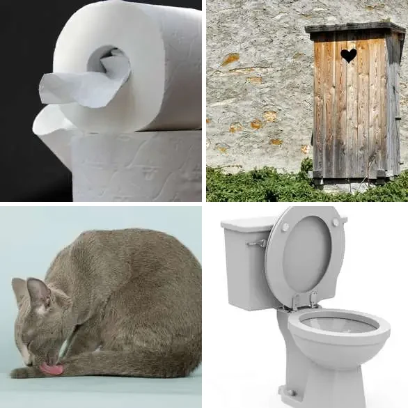 4 images 1 mot 8 lettres : solution TOILETTE
