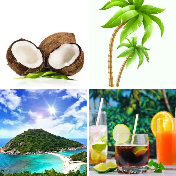 4 images 1 mot 8 lettres : solution TROPIQUE