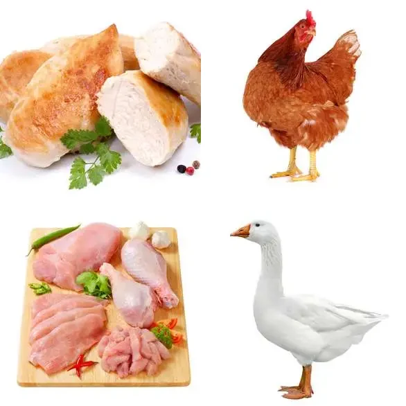 4 images 1 mot 8 lettres : solution VOLAILLE