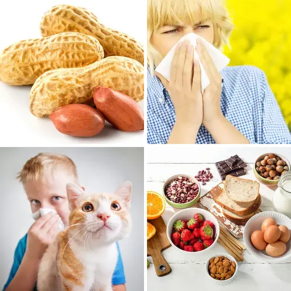 4 images 1 mot 9 lettres : solution ALLERGIES