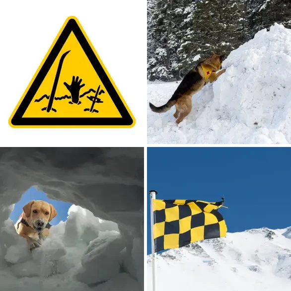 4 images 1 mot 9 lettres : solution AVALANCHE