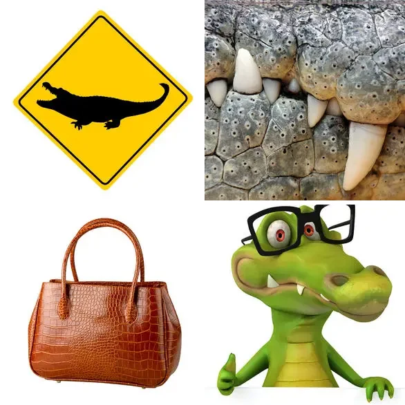 4 images 1 mot 9 lettres : solution CROCODILE