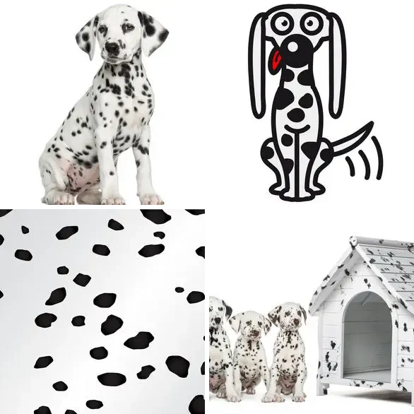 4 images 1 mot 9 lettres : solution DALMATIEN