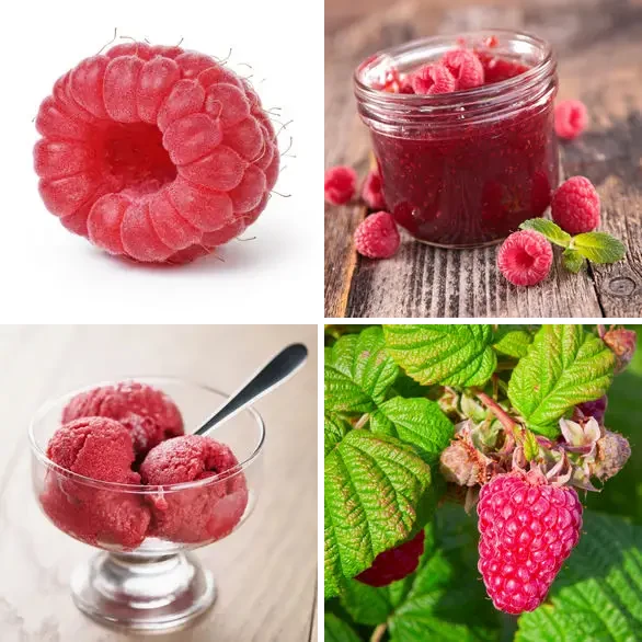 4 images 1 mot 9 lettres : solution FRAMBOISE