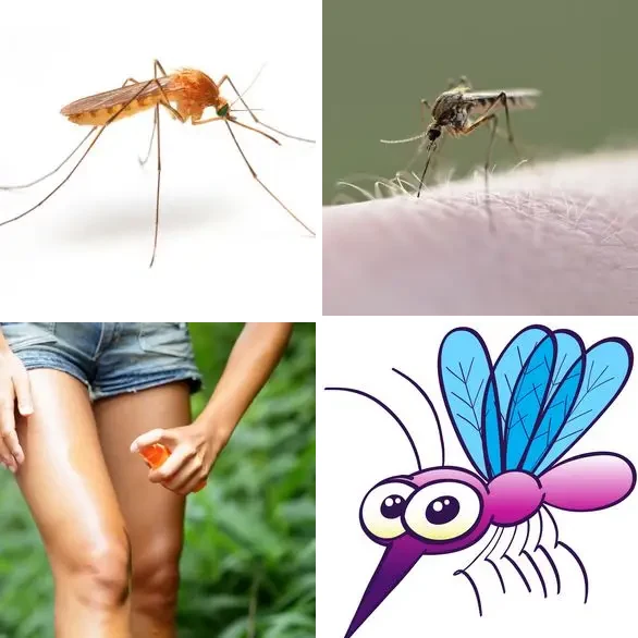 4 images 1 mot 9 lettres : solution MOUSTIQUE