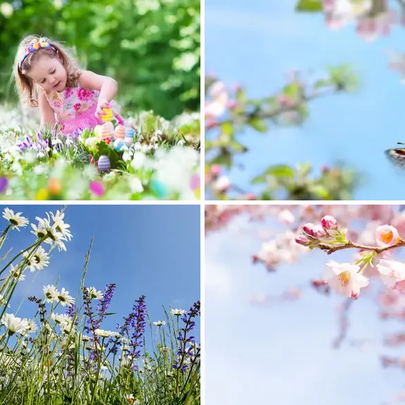 4 images 1 mot 9 lettres : solution PRINTEMPS