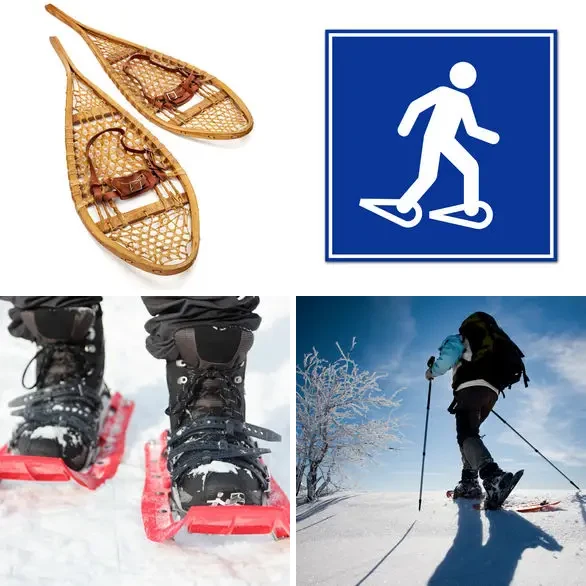 4 images 1 mot 9 lettres : solution RAQUETTES